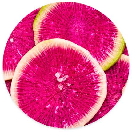2022.02_PokePoke_texture-4 2022.02_PokePoke_texture-4
